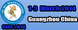 chinaamusement.com